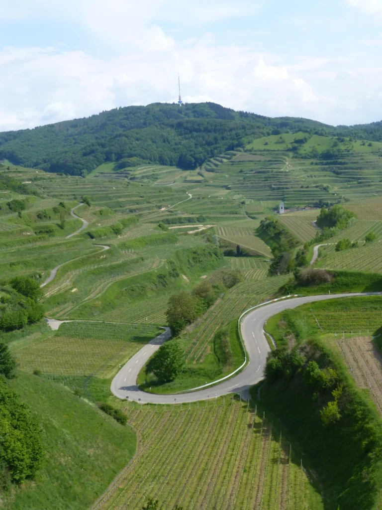 Weinbauregion Kaiserstuhl